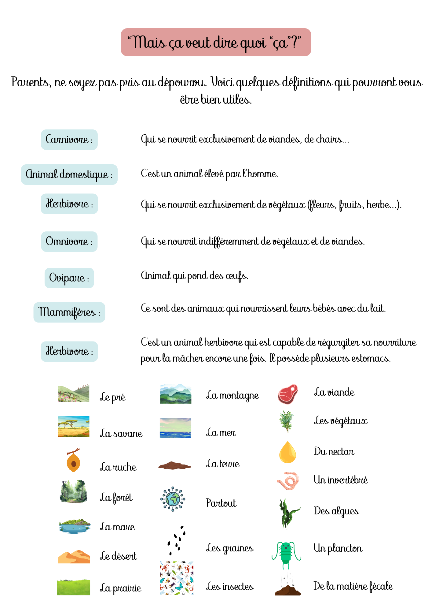 Livret de découverte : Les animaux mentionnés dans le Coran