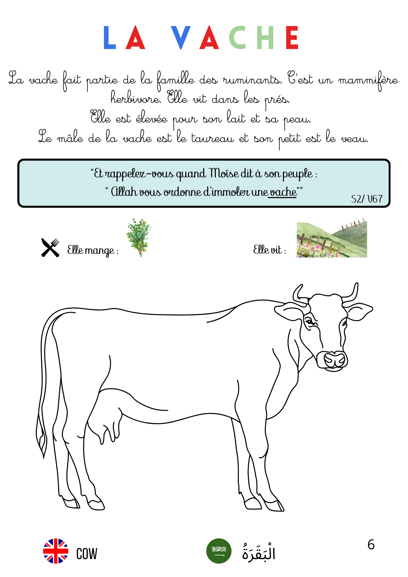 Livret de découverte : Les animaux mentionnés dans le Coran